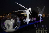 Echassiers lumineux