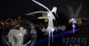 Echassiers lumineux