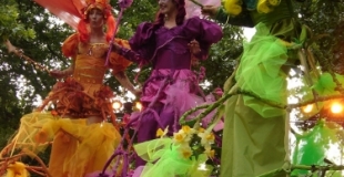 Echassiers - Mademoiselle Paillette