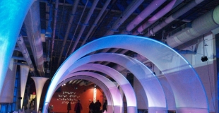 extenciel_deco_lycra_2