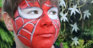 Maquillage artistique - le spiderman