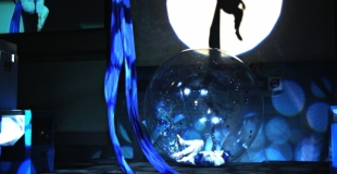 performance acrobates