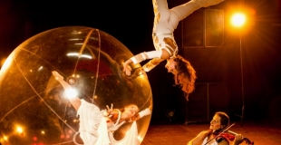 Sphere Celeste in Kootwijk