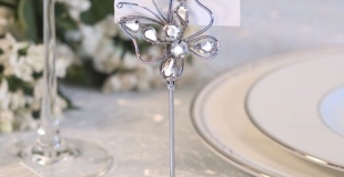 marque place papillon