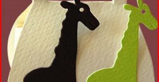 Contenant - Dragées