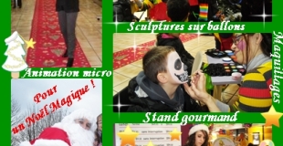 Anim'too animations : foire commerciale