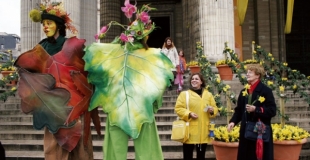 Les Feuilles Enchantées