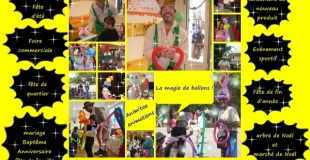 Pour toutes les occasions un sculpteur sur ballons d'anim'too animations