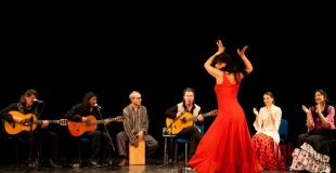 cuadro flamenco 1