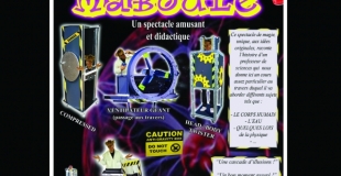 PRESENTATION Professeur Maboule