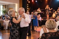 Animation musicale chantée et dansée pour repas des anciens !