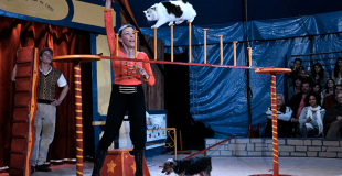 Organiser un spectacle avec des animaux pour un arbre de Noël d'enfants