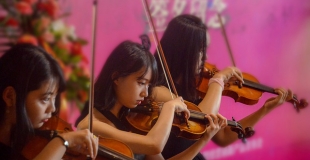 Quatuor à cordes de musique classique pour diner d'entreprise