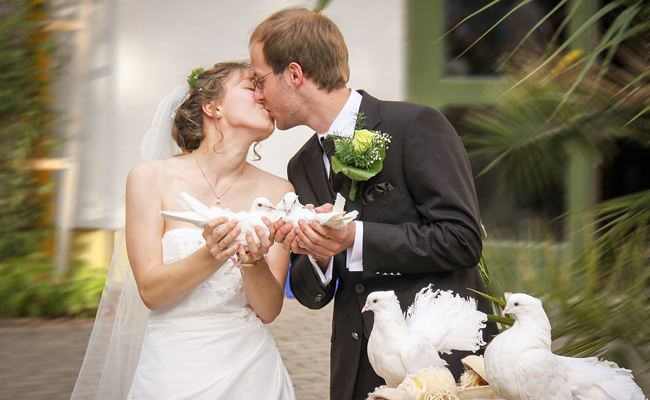 Organiser un lâcher de colombes pour un mariage