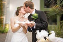 Lâcher de colombes pour mariage : quelle organisation ? Quel tarif ?