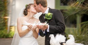 Lâcher de colombes pour mariage : quelle organisation ? Quel tarif ?