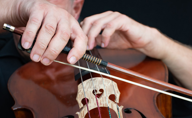 Accueil musical soirée d'entreprise : une violoncelliste ou quatuor à cordes