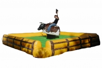Animation western