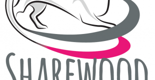 Sharewood Anim'