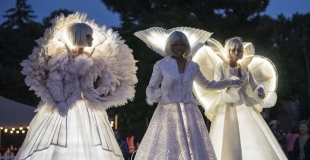 Echassiers Blancs Lumineux