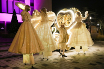 Echassiers Blancs Lumineux
