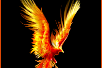 Phöenix Arts