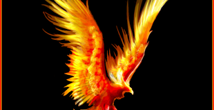 Phöenix Arts