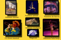 Univers Circus