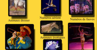 Univers Circus