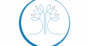 Le Chêne Bleu : course de drones