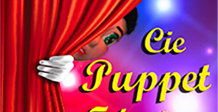 Cie Puppet Féeries
