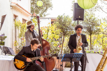 Molto Jazz