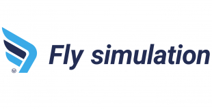 Fly Simulation