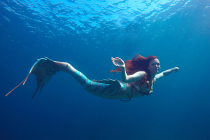 Galatée la sirène