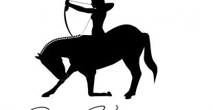 Perrine Vanoutryve - Spectacle Equestre