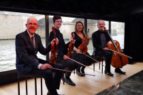 Velvet & Dynamite String Quartet