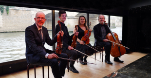 Velvet & Dynamite String Quartet