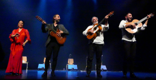 Groupe Gipsy , Flamenco - Sanfuego