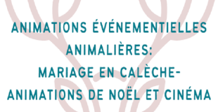 Le petit monde d'Aïlo