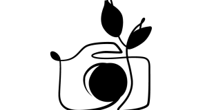 La Petite Fougère - Production