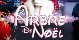 Spectacle de Noel