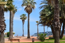 Vue face au restaurant Albert 1er