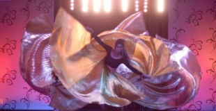 spectacle de danses et animations artistiques lyon rhone alpes - groupe de danse - troupe de danseus