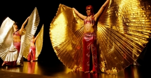 spectacle de danses et animations artistiques lyon rhone alpes - groupe de danse - troupe de danseus