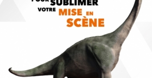 Mythiqs - Tout est mis en oeuvre pour sublimer votre mise en scène