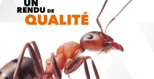 Mythiqs - un travail minutieux pour un rendu de qualité