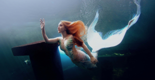 Shows sirène en aquarium