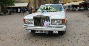 Silver Spur