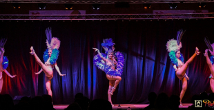 Plumes ouverture bleue