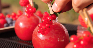 Perle fruits rouges bar mobile fin pallet lyon